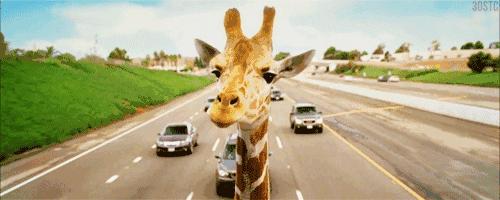 溜肩脖子长怎么办,溜肩脖子前倾怎么矫正