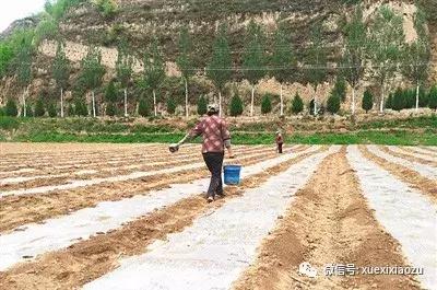 习*平近**说不要小看陕北这里，这是有大学问的地方