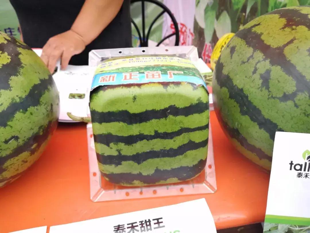 厉害了！聊城这个地方又火了一把！现场直击