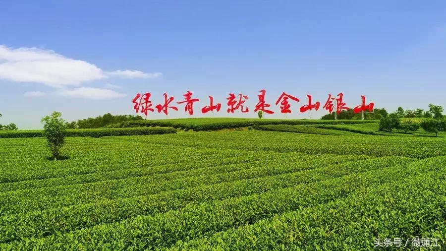 蒲江农田补贴政策,海门现代农业扶持政策