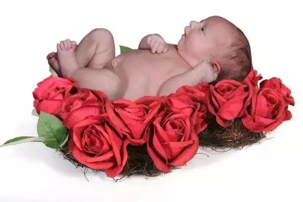 胎停育的四大原因早发现是好事,胎停育的真实感悟