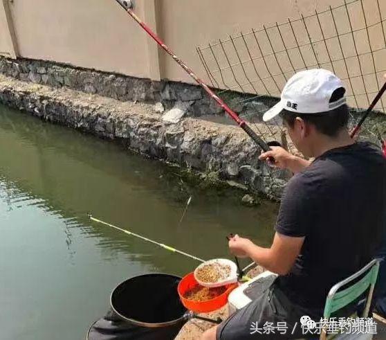 选鱼竿什么调性,选鱼竿认准这3点