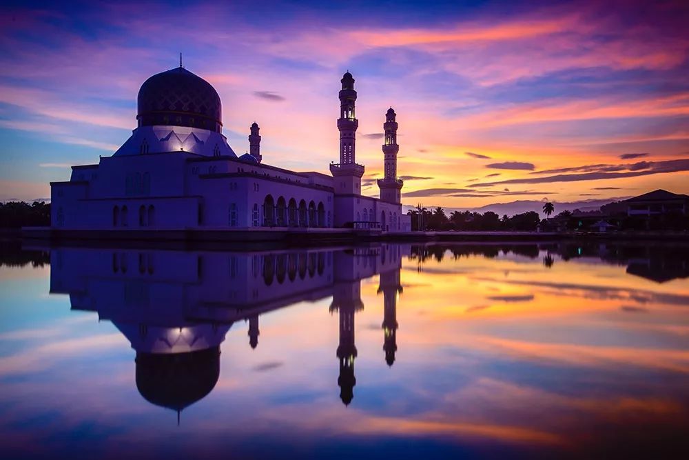 大个头的大智慧！来聊聊什么是单反