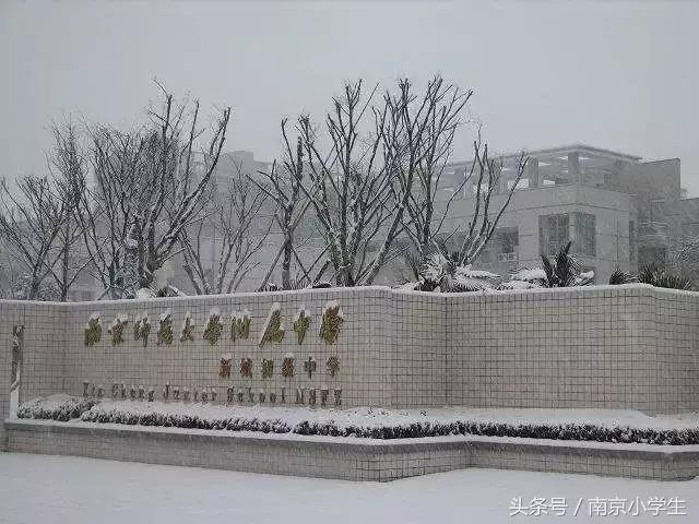 来了！南京排名前10的幼儿园、小学、初中、高中、大学全在这了！