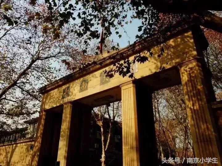 来了！南京排名前10的幼儿园、小学、初中、高中、大学全在这了！