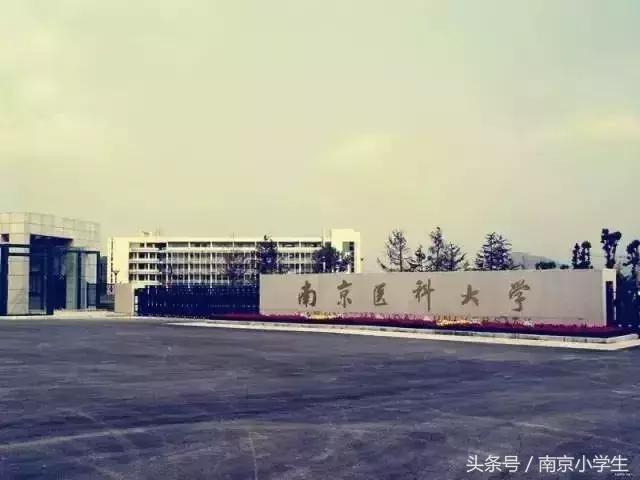 来了！南京排名前10的幼儿园、小学、初中、高中、大学全在这了！