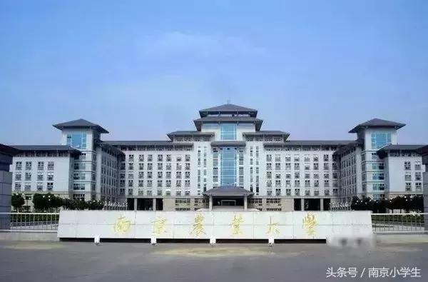 来了！南京排名前10的幼儿园、小学、初中、高中、大学全在这了！