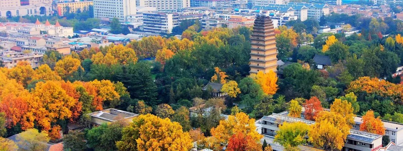 迪拜塔灯光设计师西安首秀|华阳城光影艺术闪耀城东