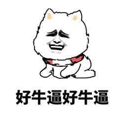 游戏陪玩工作室的内幕,揭秘游戏陪玩的真实生活