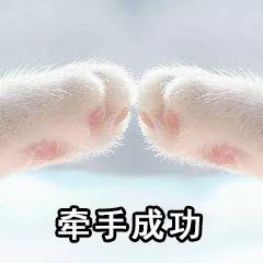 游戏陪玩工作室的内幕,揭秘游戏陪玩的真实生活