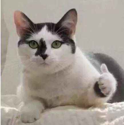 苏州户口难不难,苏州户口为啥吃香