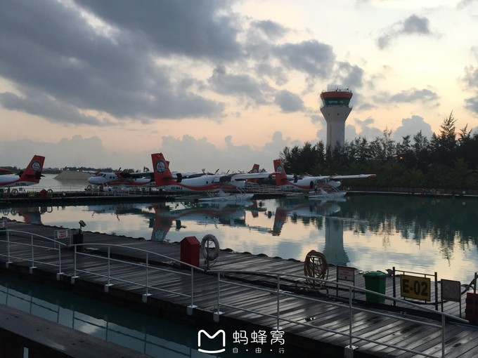 椹皵浠ｅか閫夊矝鍒嗙骇,椹皵浠ｅか浜插瓙閫夊矝鏀荤暐