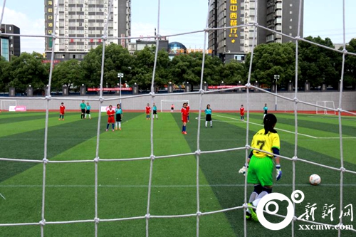 2023茵浪杯,第二届娄底青少年足球赛