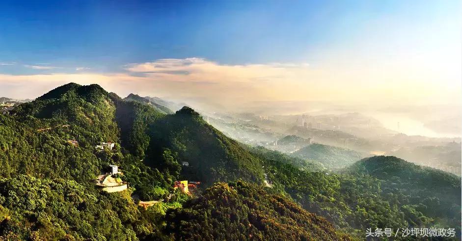 粉黛乱子草网红打卡地重庆沙坪坝,重庆沙坪坝小众冷门景点打卡