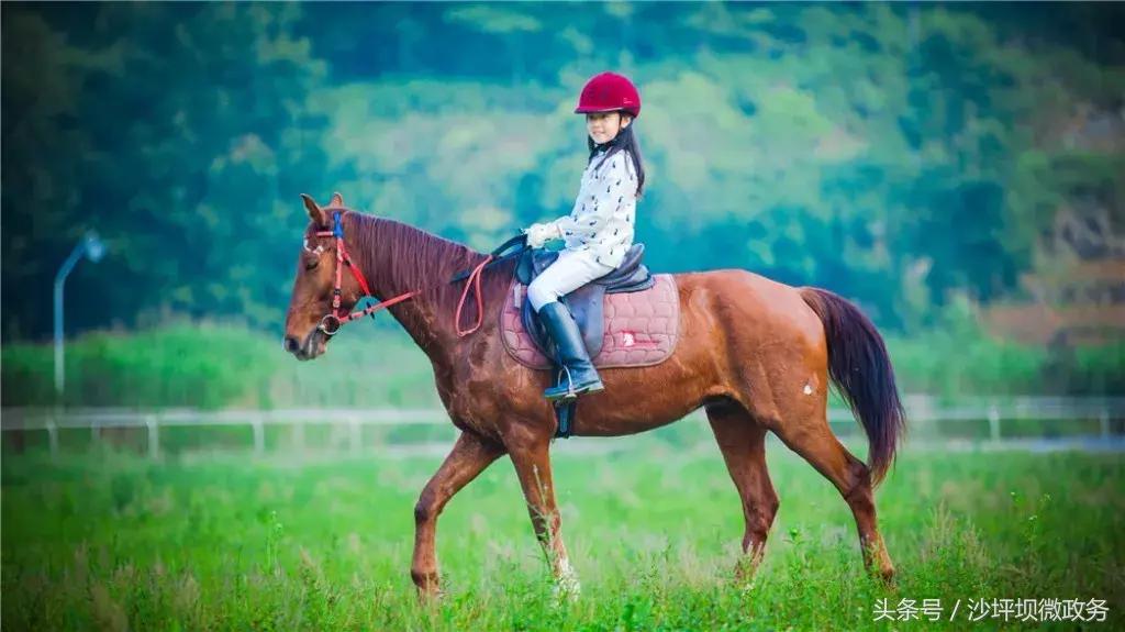 粉黛乱子草网红打卡地重庆沙坪坝,重庆沙坪坝小众冷门景点打卡