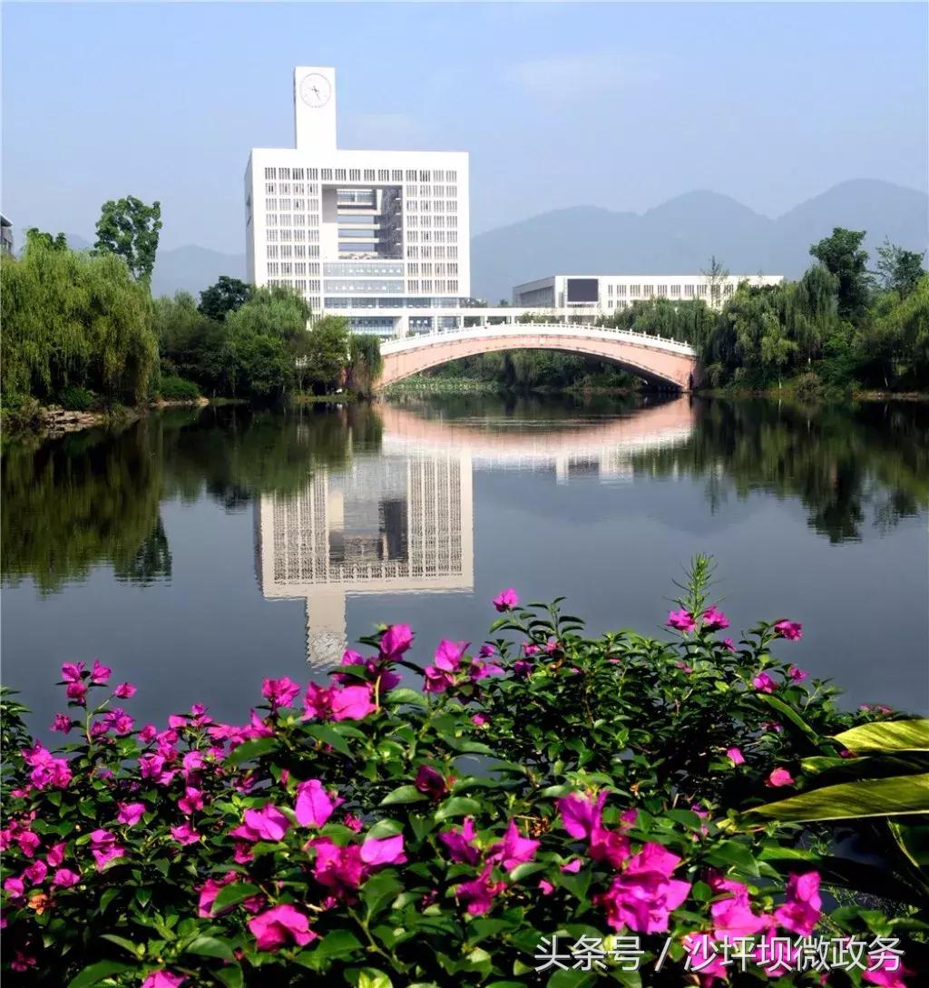 粉黛乱子草网红打卡地重庆沙坪坝,重庆沙坪坝小众冷门景点打卡