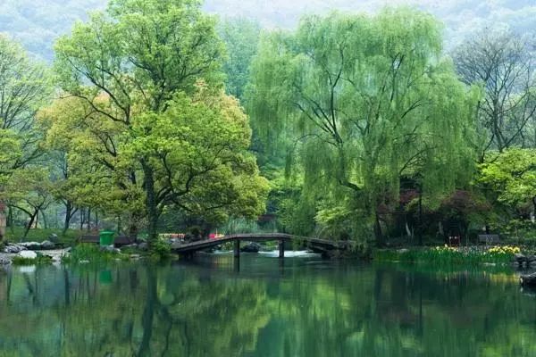 「诗词原创」聂双｜春波碧草娇红媚燕语莺言意挽归