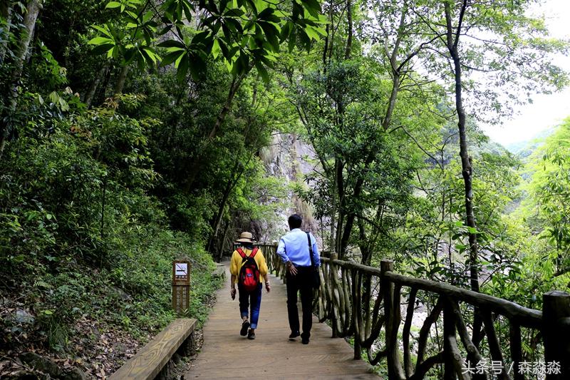 云顶大峡谷攻略,云顶大峡谷景区