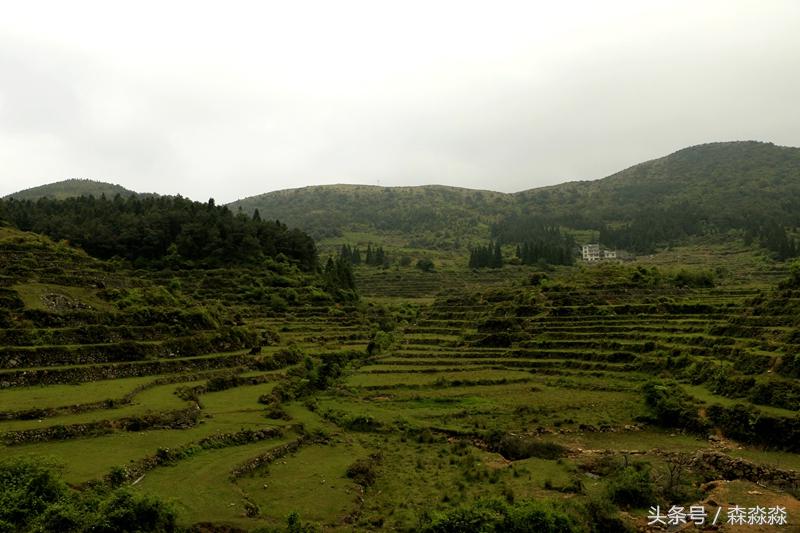 云顶大峡谷攻略,云顶大峡谷景区