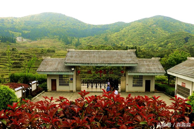 云顶大峡谷攻略,云顶大峡谷景区