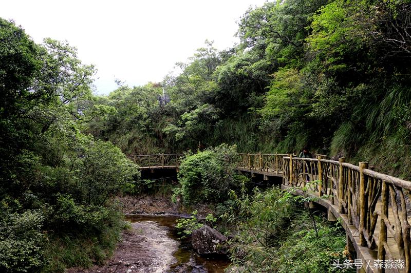 云顶大峡谷攻略,云顶大峡谷景区