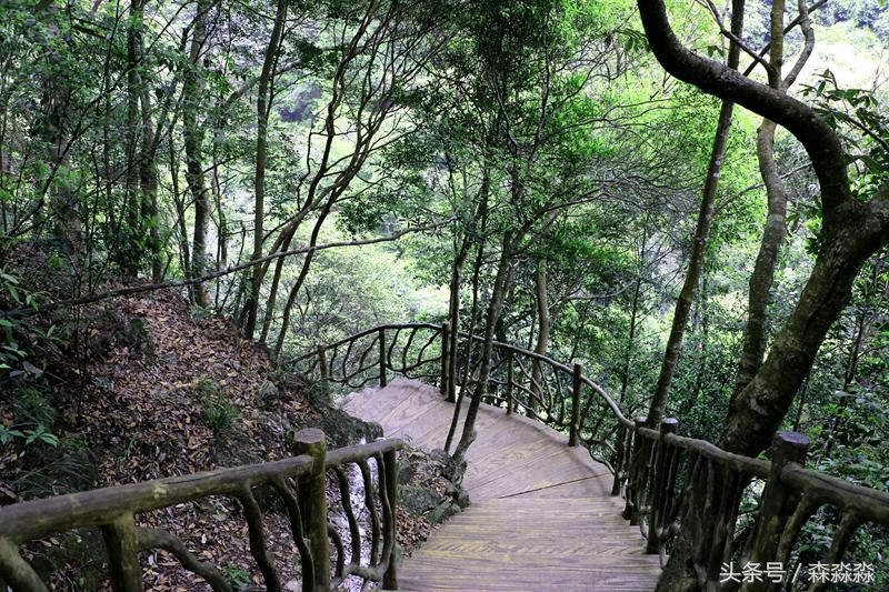 云顶大峡谷攻略,云顶大峡谷景区