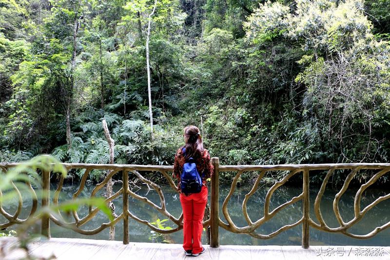 云顶大峡谷攻略,云顶大峡谷景区