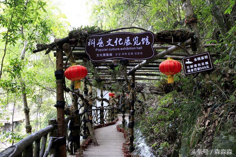 云顶大峡谷攻略,云顶大峡谷景区