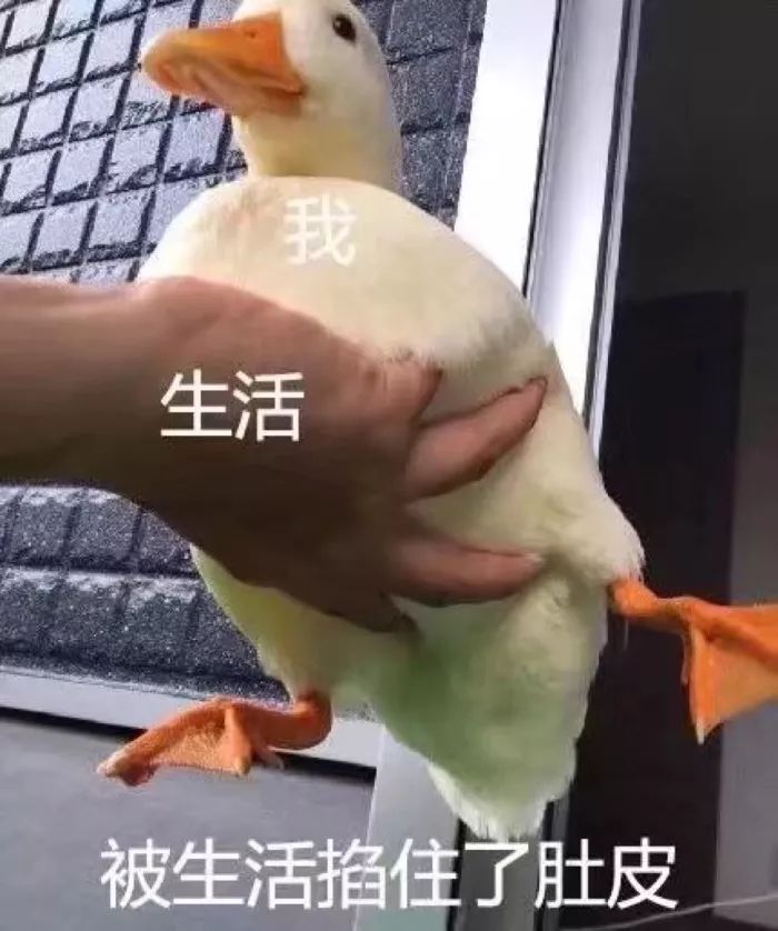 日本妈妈把生孩子全过程画了下来，才知道当妈到底有多不容易……