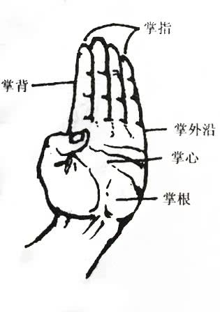 武术基本功难度大的动作,武术基本功高难度动作