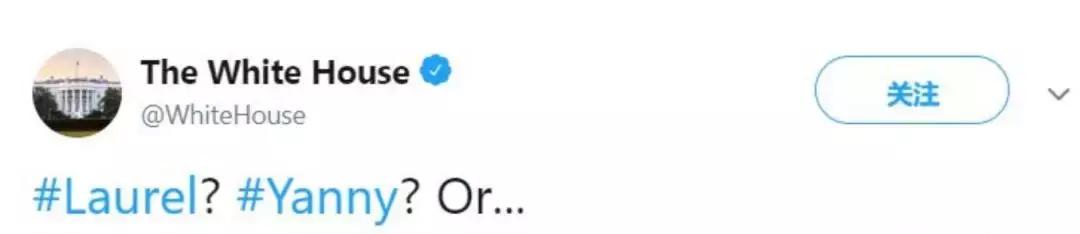 yanny和laurel什么梗,laurel和yanny