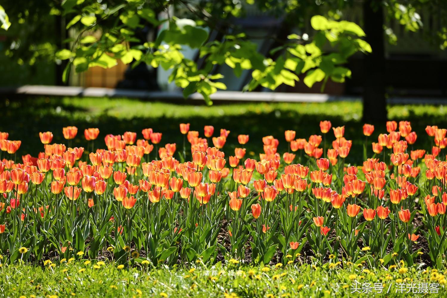 对俄罗斯的刻板印象,莫斯科对于俄罗斯人意味着什么