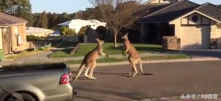 澳大利亚卡希尔世界杯,澳大利亚国脚卡希尔刷新纪录