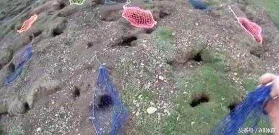 澳大利亚卡希尔世界杯,澳大利亚国脚卡希尔刷新纪录