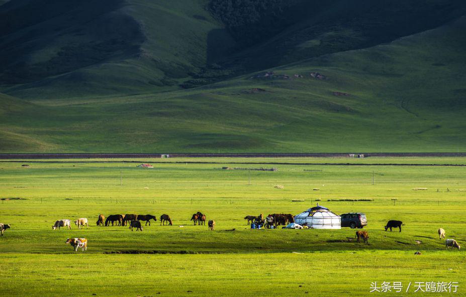 狼图腾大草原旅游,乌拉盖草原亲子游
