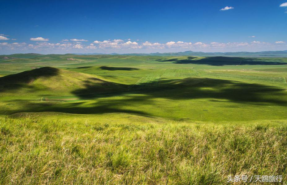 狼图腾大草原旅游,乌拉盖草原亲子游