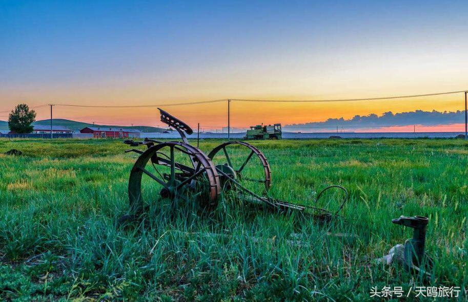 狼图腾大草原旅游,乌拉盖草原亲子游