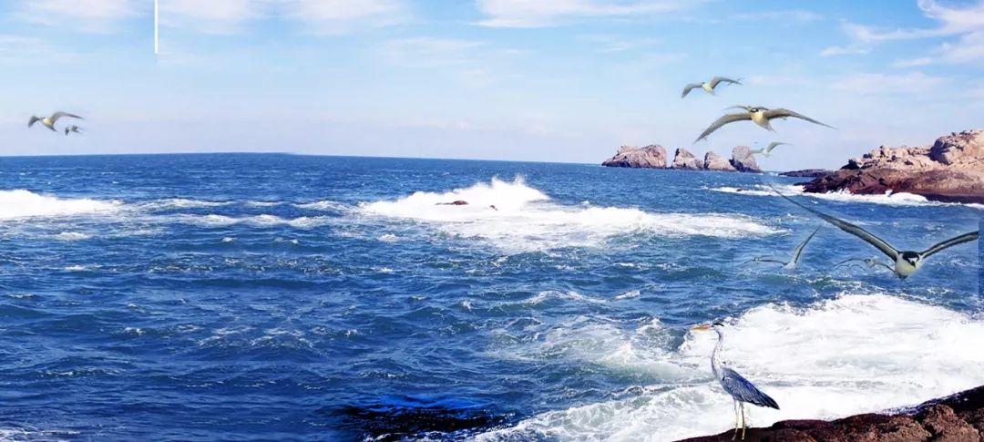 21世纪海上丝绸之路英文,海上丝绸之路与当代海洋诗歌