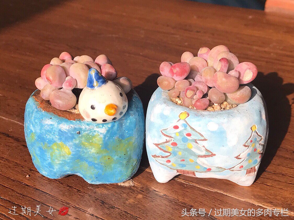 「桃蛋进化简史」5.21表白，我们都爱桃蛋蛋～