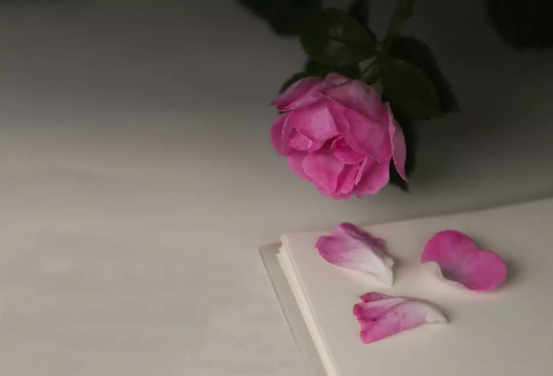 海大校花,海大双胞胎校花