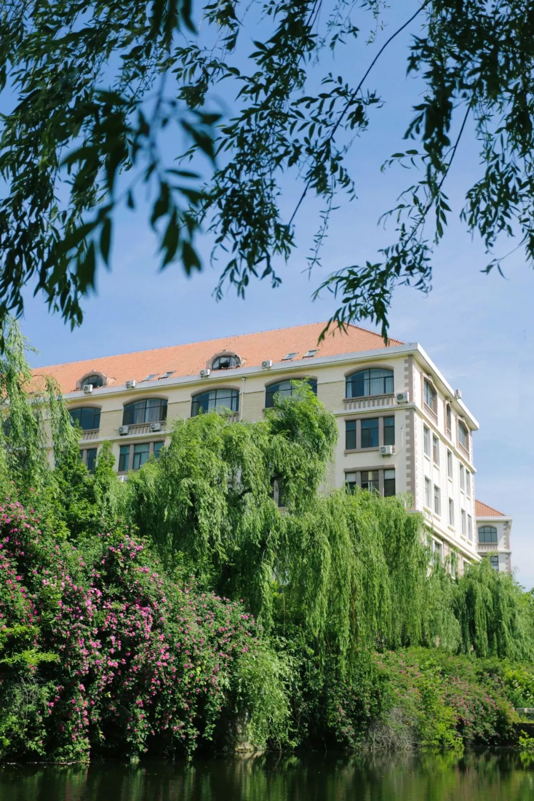 海大校花,海大双胞胎校花