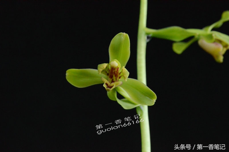 五月温度高是何征兆,五月温度为什么这么高