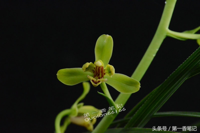 五月温度高是何征兆,五月温度为什么这么高