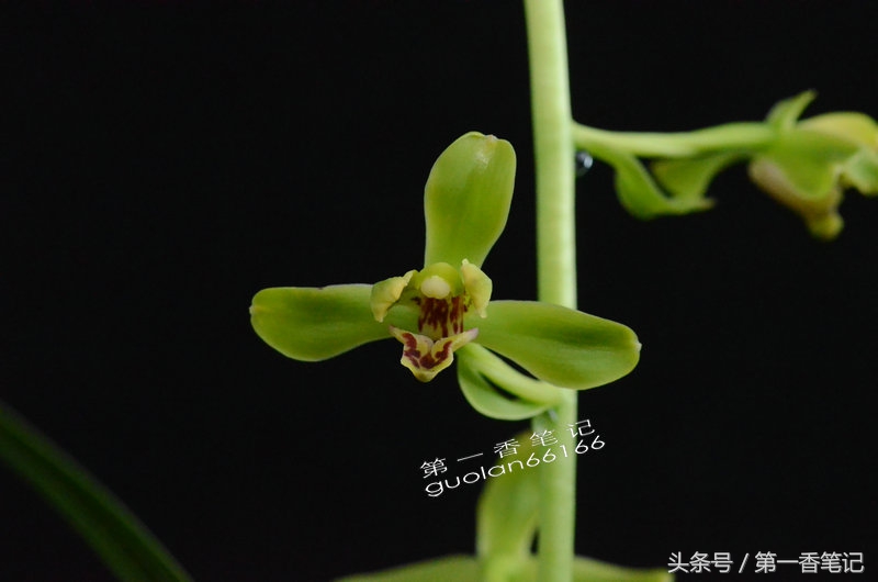 五月温度高是何征兆,五月温度为什么这么高