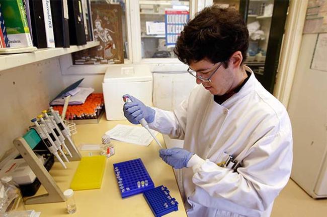 手机上最常见的10种细菌