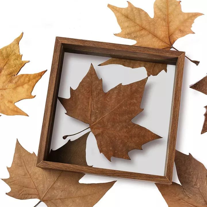 520领了券还可以赠送吗,520送女朋友一只口红够了吗