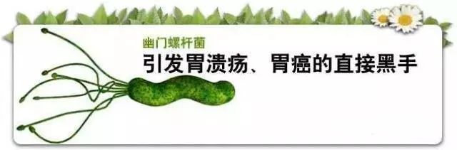 感染幽门螺旋杆菌会传染给小孩吗,幽门螺旋杆菌再次感染几率有多大
