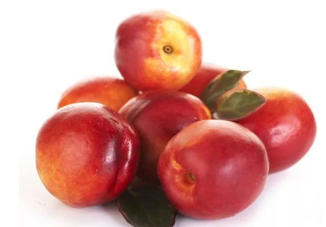 灞变笢閮煄娌规,鏂伴矞灞变笢娌规