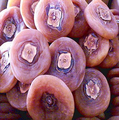 正宗台湾大金柿与阳丰脆柿,最好吃的柿子中华巨柿简介