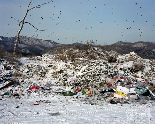 看展览｜大画幅下的北地凛冬：一点点不自然，以及留下的想象